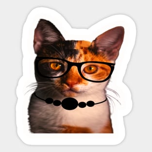 Gato con gafas Sticker